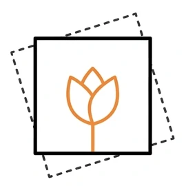 Prosta grafika liniowa przedstawiająca czarny kwadrat, wewnątrz którego umieszczona jest uproszczona ikona kwiatu przypominającego tulipana lub lotos w kolorze pomarańczowym. Pod głównym kwadratem widoczny jest drugi, lekko obrócony kwadrat narysowany przerywaną linią.